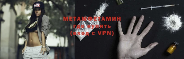 прущие грибы Карталы
