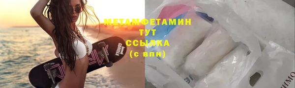 прущие грибы Карталы