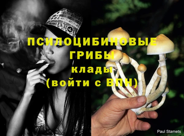 apvp Карпинск