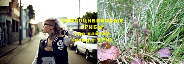 apvp Карпинск