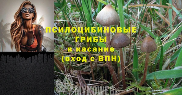apvp Карпинск