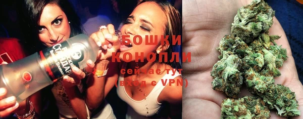 apvp Карпинск