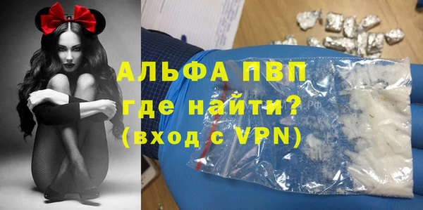 прущие грибы Карталы