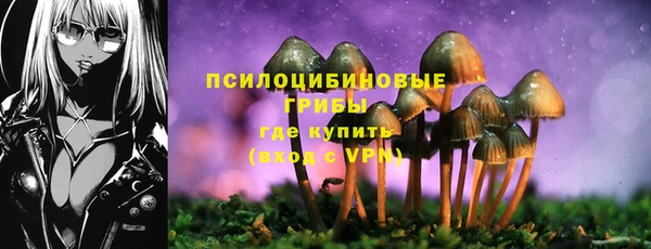 прущие грибы Карталы