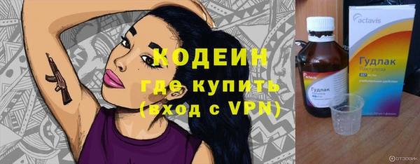 прущие грибы Карталы