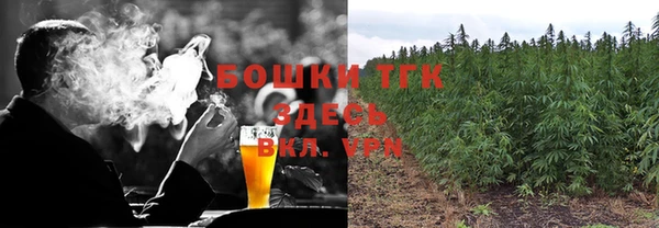 apvp Карпинск