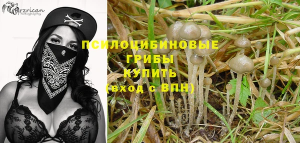 apvp Карпинск