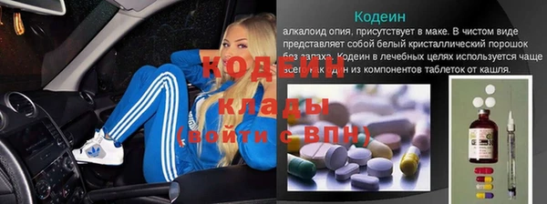 прущие грибы Карталы