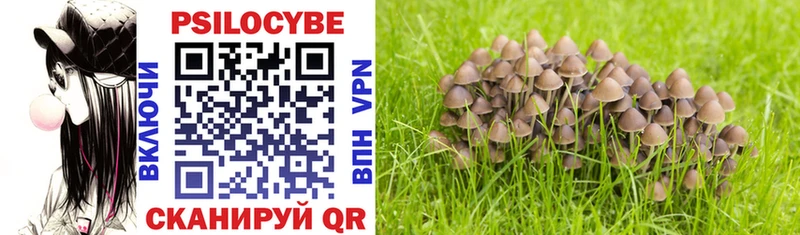 Купить закладки  Артём  Галлюциногенные грибы MAGIC MUSHROOMS 